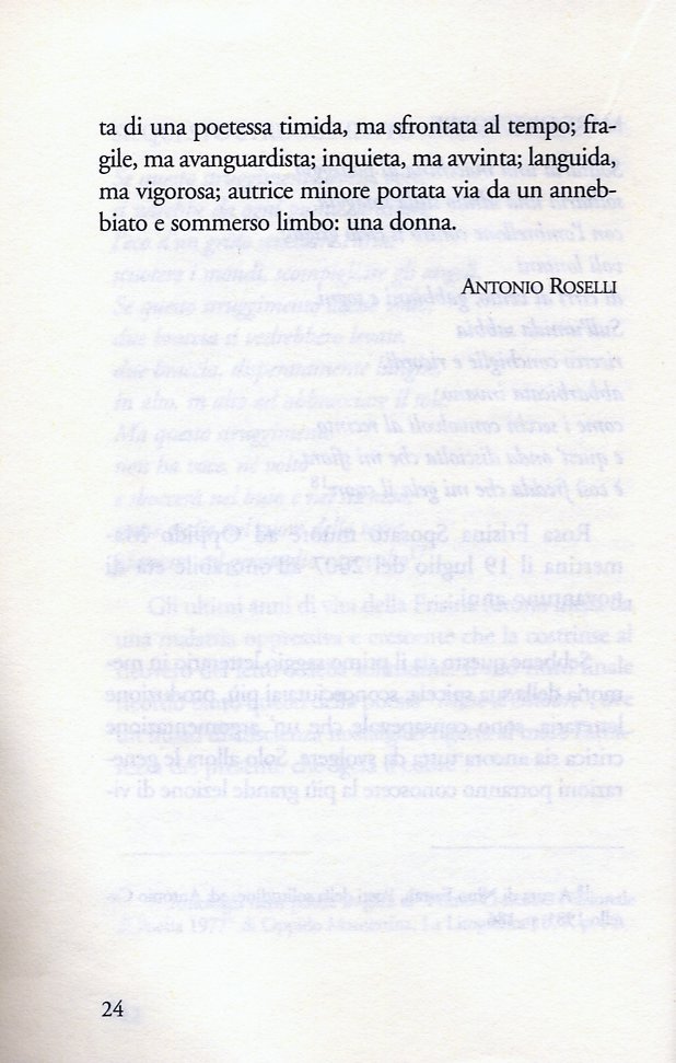Pim0014.jpg