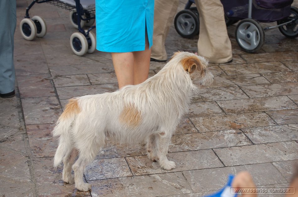 DSC_0032.JPG
