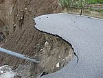 IMG_1387.JPG