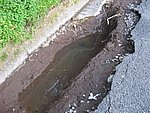 IMG_1398.JPG
