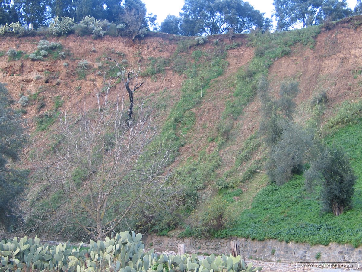 alluvione 060.jpg