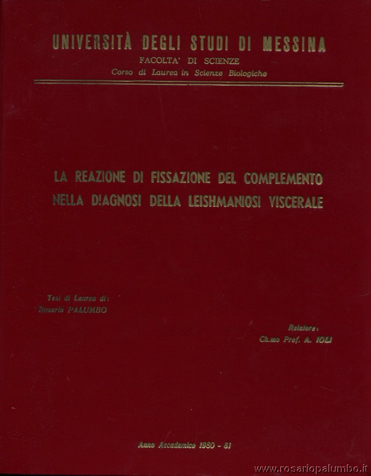 LAUREA - TESI.JPG