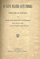 Pinneri.jpg